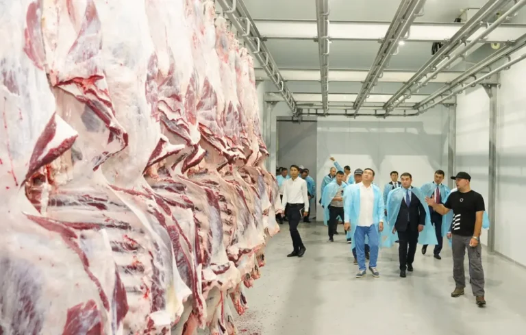 ет экспорты