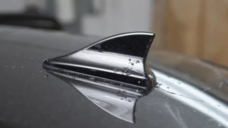 аккула қанаты