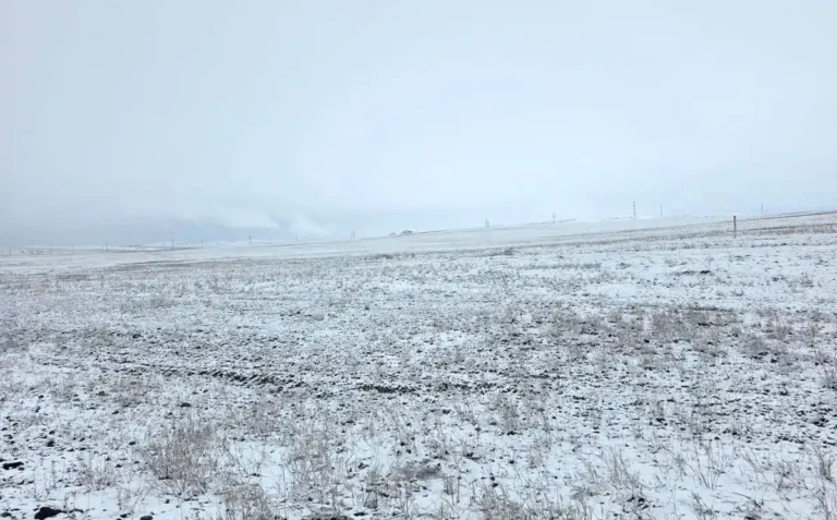 қар ауа райы