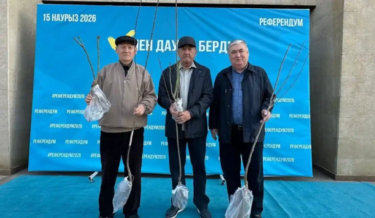 Ордабасыда әр дауыс – көшетке айналды дауыс