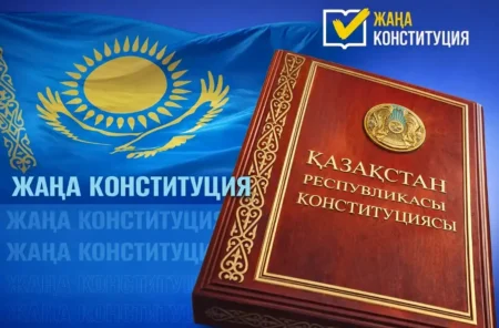 Конституция