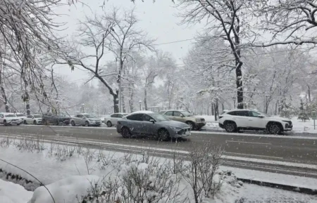 Жайма-шуақ күн: еліміздің басым бөлігінде ауа райы тұрақты болады қар жауып тұр