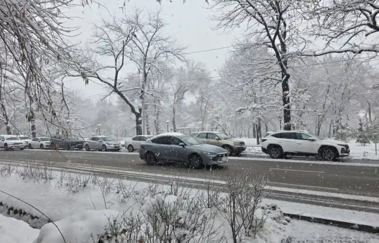 қар жауып тұр