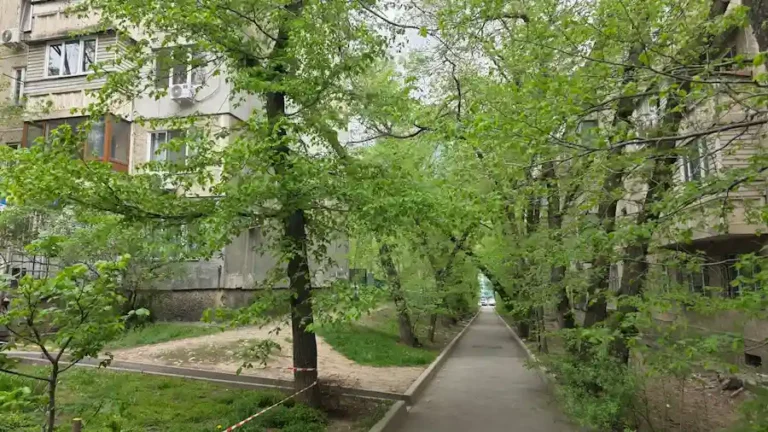 ауа райы