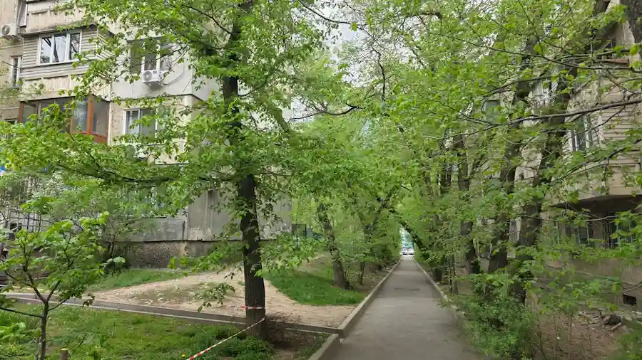 Жаңбыр мен найзағай: Қазақстанның көптеген өңірінде ауа райы бұзылады ауа райы