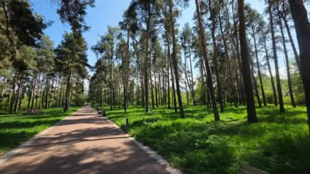 Қазақстанда 21 сәуір күні ауа райы тосын мінез танытады ауа райы орман