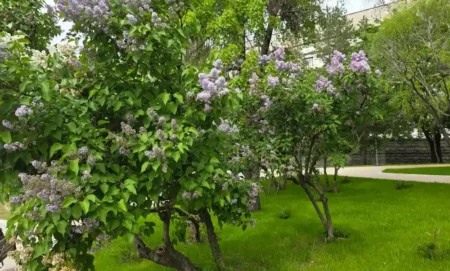 Қазақстанда 27 сәуір күні ауа райы құбылмалы болады ауа райы