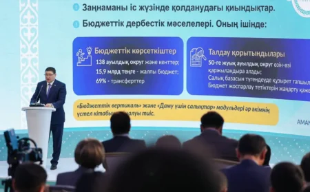 Бюджет пен біліктілік: Берік Уәли ауыл әкім ең ауыр түйінін атады Берік Уәли