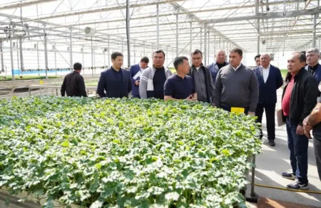 Нұралхан Көшеров