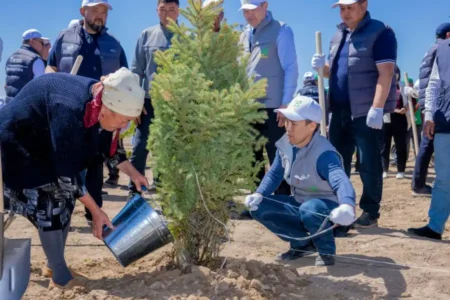 «Таза Қазақстан» Кегенде: 7 гектар жер жасыл желекке айналды Таза Қазақстан