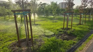ауа райы саябақ