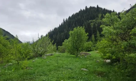 Қазақстанның басым бөлігінде ауа райы ашық, бірақ жел күшейеді ауа райы тау
