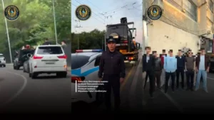 түлектер