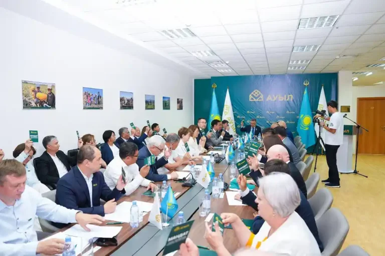 ауыл партиясы