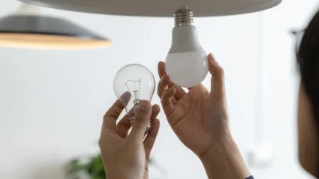 Жарықдиодты шам қауіпсіз бе: Ғалымдар LED жарықтың көзге әсерін зерттеді лампа шам