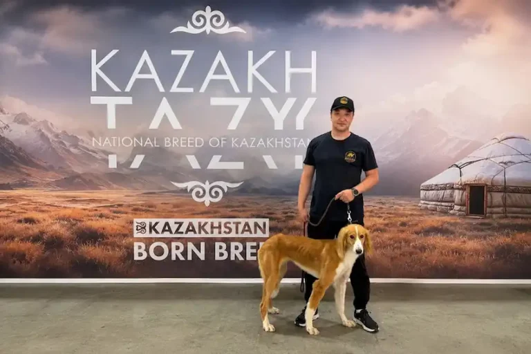 тазы ит Кербез