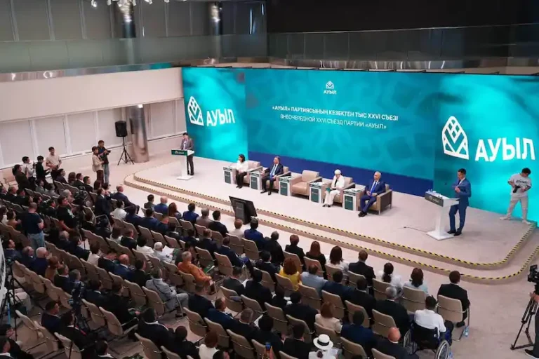 ауыл партиясы