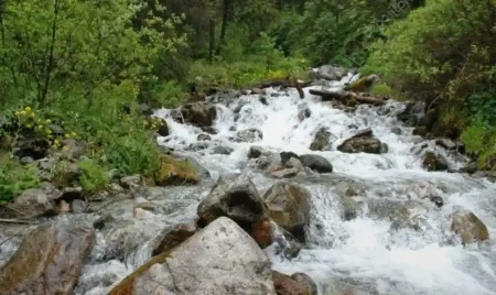 Almaty SuperSki және су дауы: Ғалымдар тапшылық қаупін жоққа шығарды Өзен