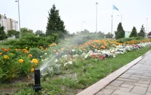 суғару полив