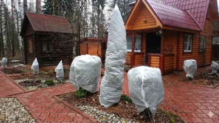 Бақшаны қысқа дайындау: Өсімдіктерді дұрыс қымтаудың 5 негізгі ережесі Бақшаны қысқа дайындау: Өсімдіктерді дұрыс қымтаудың 5 негізгі ережесі тақырыбы бойынша иллюстрациялық сурет
