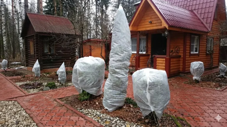Бақшаны қысқа дайындау: Өсімдіктерді дұрыс қымтаудың 5 негізгі ережесі Бақшаны қысқа дайындау: Өсімдіктерді дұрыс қымтаудың 5 негізгі ережесі тақырыбы бойынша иллюстрациялық сурет
