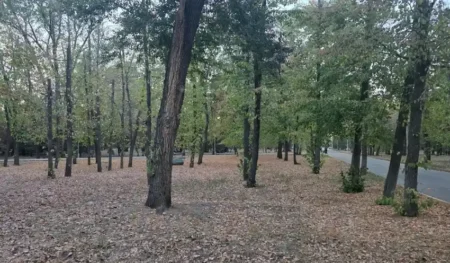 Солтүстікте жаңбыр жауып оңтүстікте аптап сақталады ауа райы