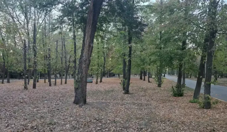 Солтүстікте жаңбыр жауып оңтүстікте аптап сақталады ауа райы