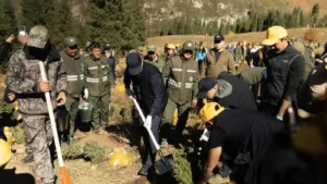 Алматы жастары Көкжайлауда 2 мың түп ағаш отырғызды тақырыбы бойынша иллюстрациялық сурет
