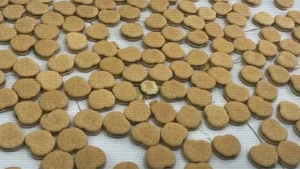 МВД ликвидировало наркомагазин в Астане и изъяло психоактивное печенье тақырыбы бойынша иллюстрациялық сурет