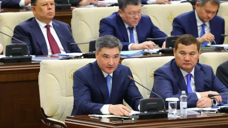 Олжас Бектенов: Әлеуметтік көмек шынымен мұқтаж азаматтарға ғана беріледі тақырыбы бойынша иллюстрациялық сурет