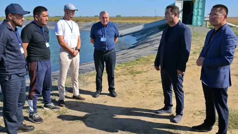 Павлодар облысында ауыл шаруашылығы өнімдерін өндіру және өңдеу көлемі артты тақырыбы бойынша иллюстрациялық сурет