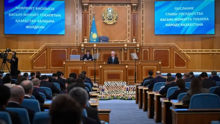 Президент шағын және орта бизнесті тексеруге жаңа мораторий енгізуді ұсынды тақырыбы бойынша иллюстрациялық сурет