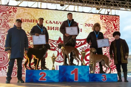 Дала дәстүрі мен саятшылық өнер: «Шығыс салбурыны» несімен ерекшеленді?